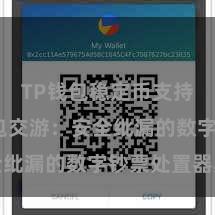 TP钱包稳定币支持 TP钱包交游：安全纰漏的数字钞票处置器具